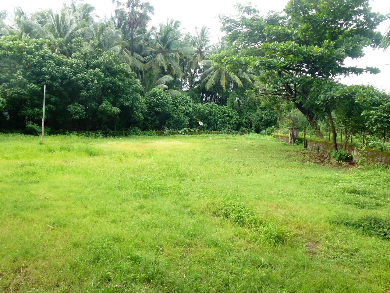 Ashish Baug Cottage Alībāg Esterno foto